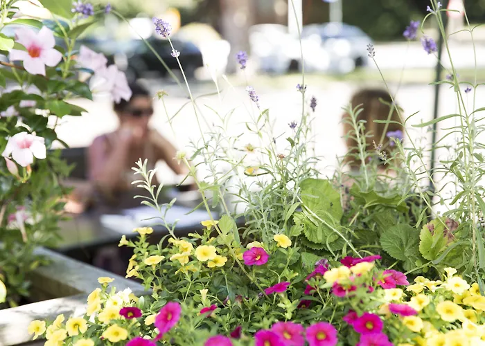 Parkzicht 4* آيندهوفن